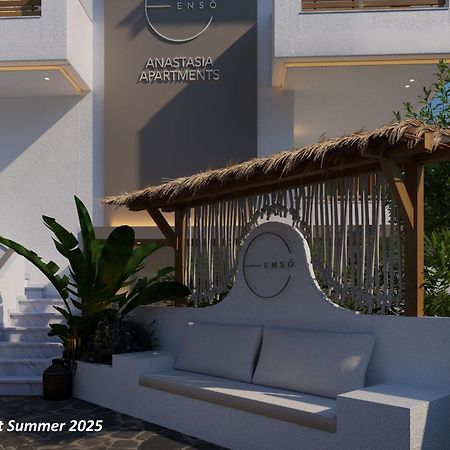 Anastasia Apartments ハニオティス エクステリア 写真